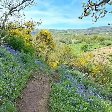 بيت للعطل Petite Maison Chaleureuse Avec Vue Imprenable