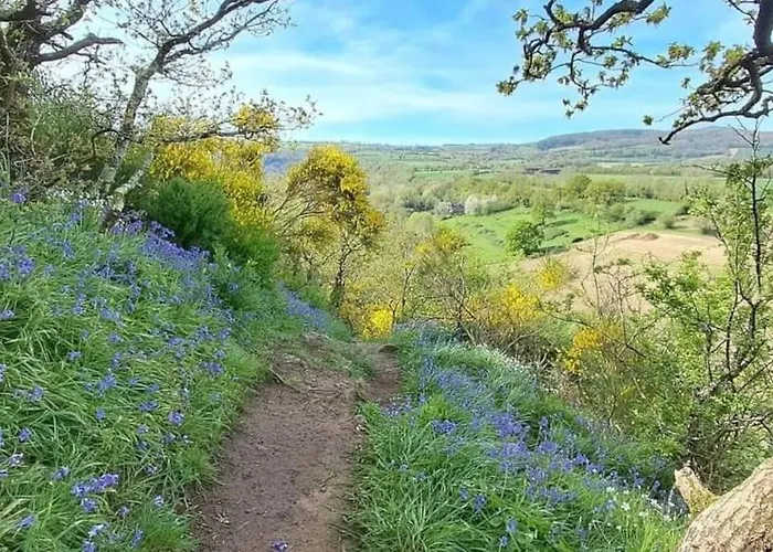 بيت للعطل Petite Maison Chaleureuse Avec Vue Imprenable